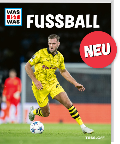 Cover_Fussball - Cover_StinkerSaugerSchleimer_Neu
