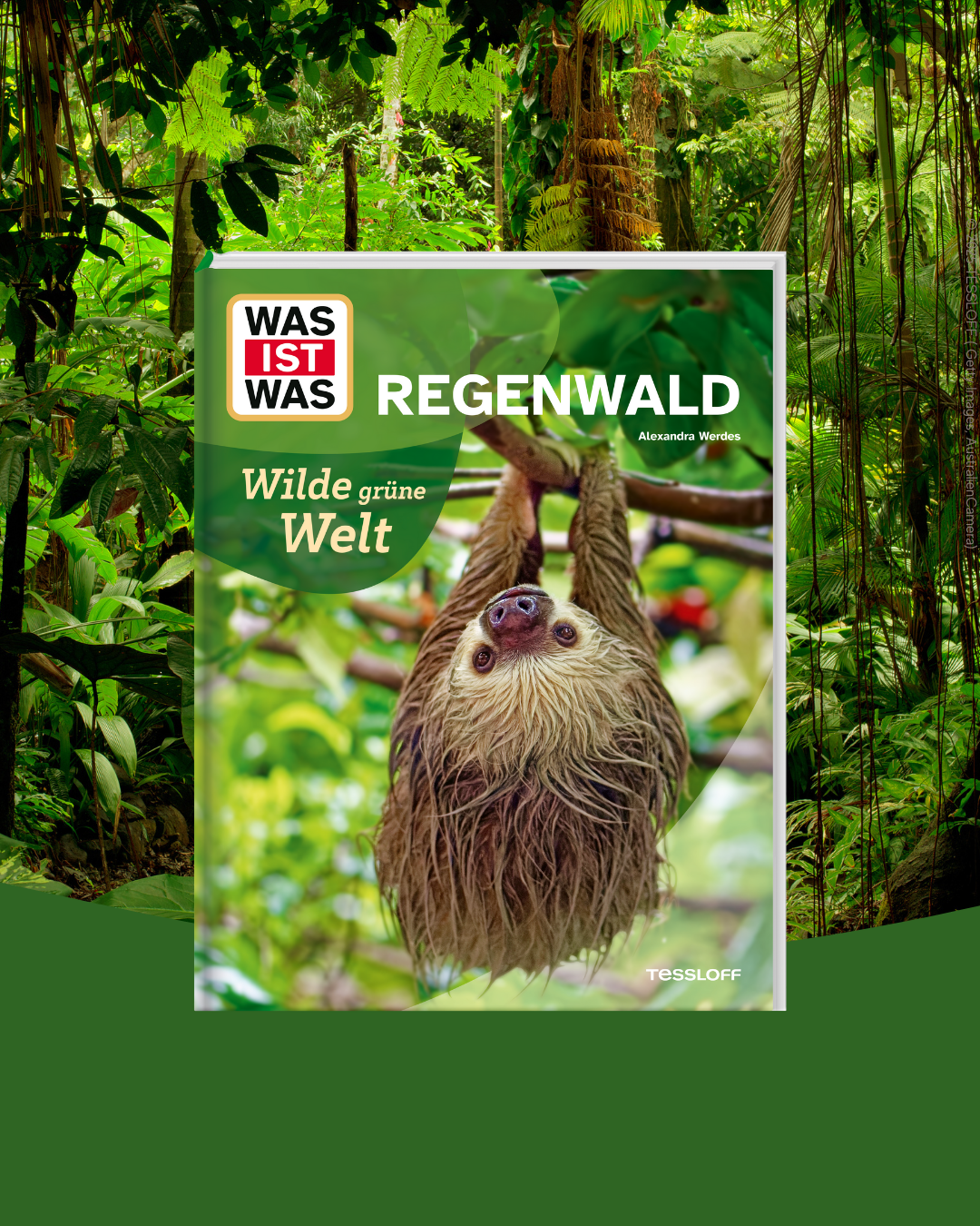 WAS IST WAS Regenwald