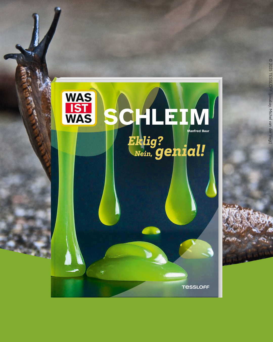 WAS IST WAS Schleim