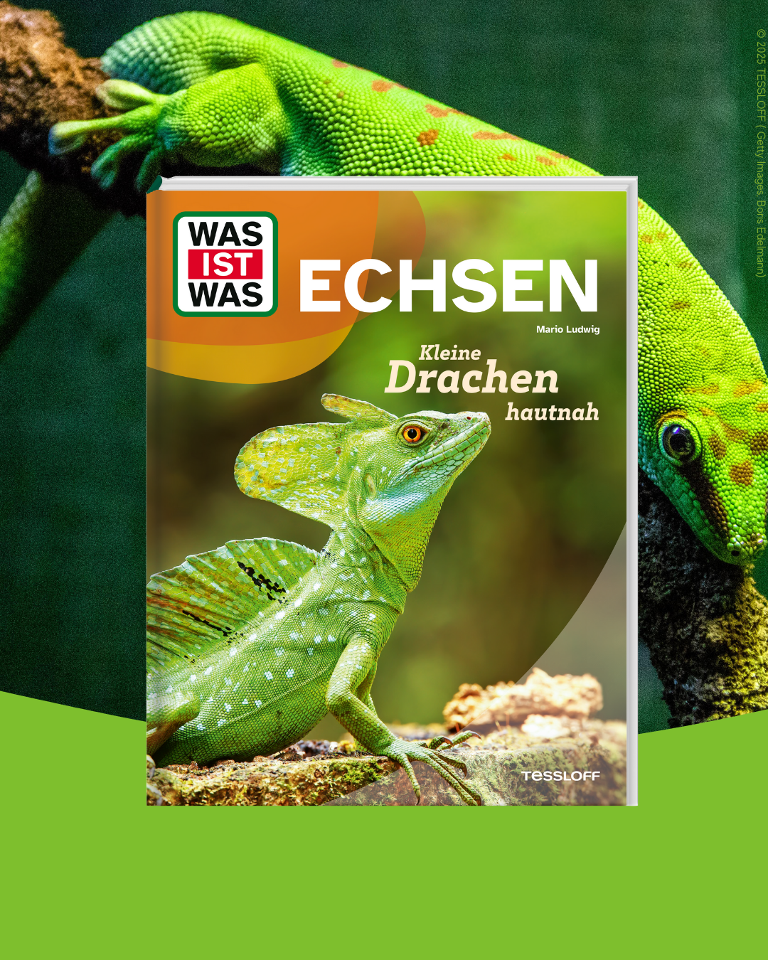 WAS IST WAS Echsen
