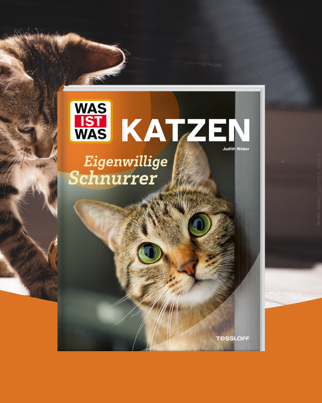 WAS IST WAS Katzen