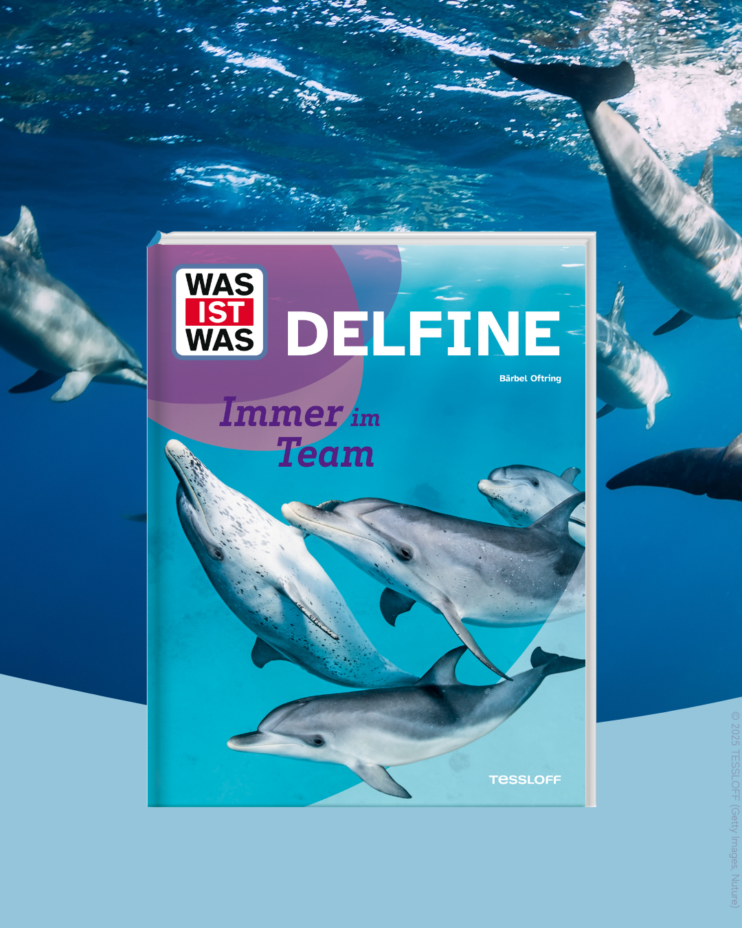 WAS IST WAS Delfine 