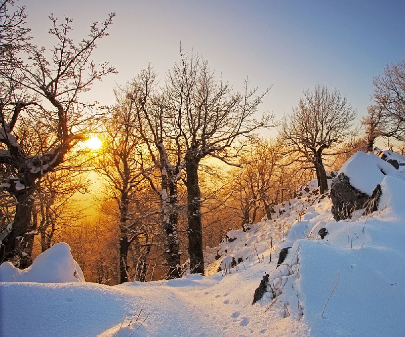 Winterlandschaft