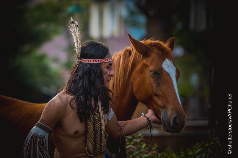 Indianer mit Pferd