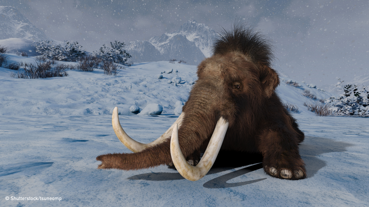 3D CG rendering of a mammoth