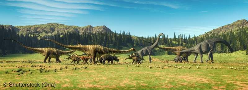Dinosaurs on the valley . This is a 3d render illustration .