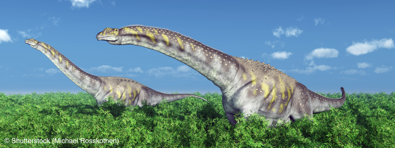 Dinosaur Argentinosaurus