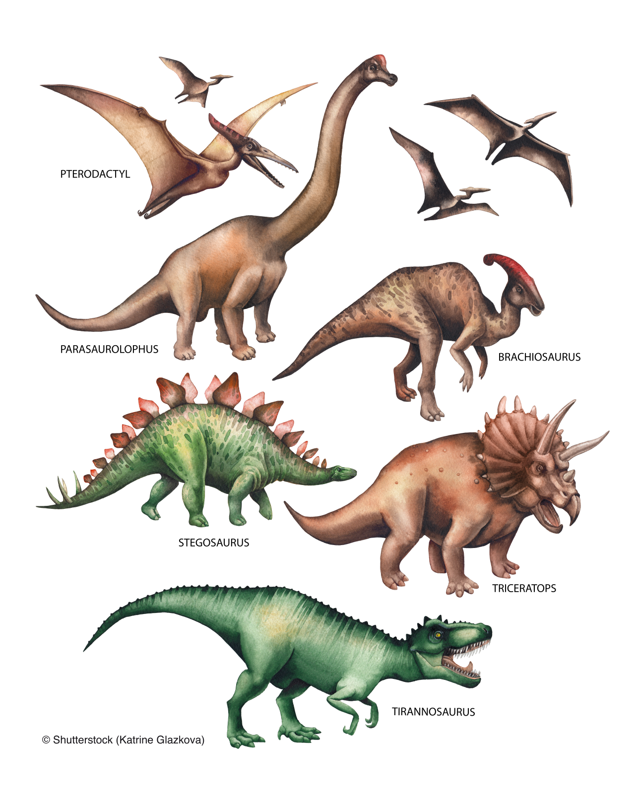 Watercolor collection of dinosaurs isolated on white background. Hand painted herbivorous and predatory reptiles of the prehistoric period