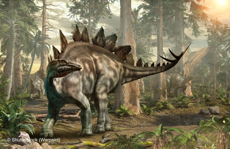 Stegosaurus forest scene 3D illustration