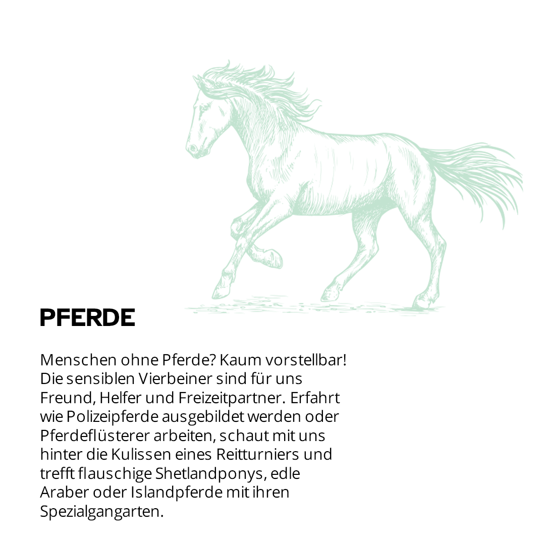 unsere_erde_seite_mobile