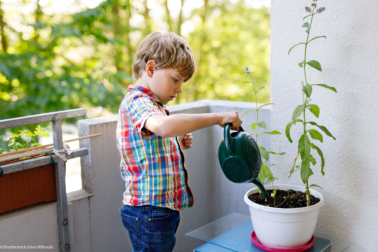Active little preschool kid boy watering plants with water can at home on balcony. little child helping arents to grow herbs and flowers. Happy preschool kid