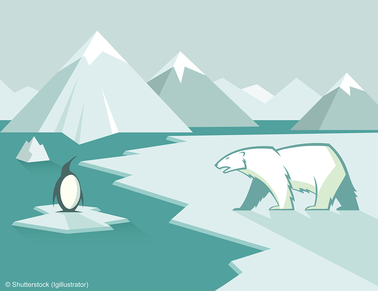Polar bear and penguin - vector illustration