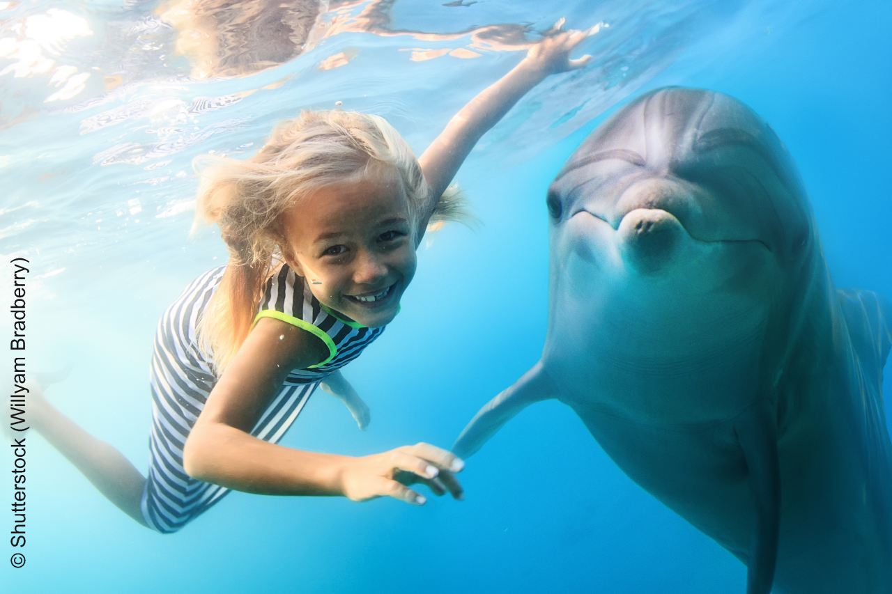 A little blonde seven year old girl diving with funny dolphins underwater. An ocean life sports extreme design. Kid with marine animal. Red sea diving in blue water.