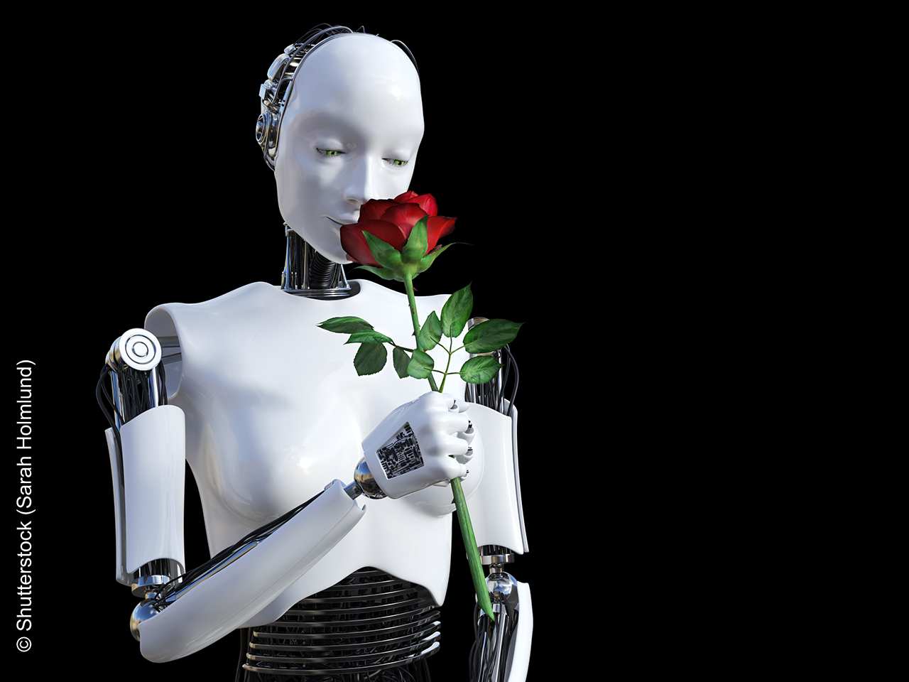 3D rendering of a female robot holding a red rose that she is smelling. Black background.