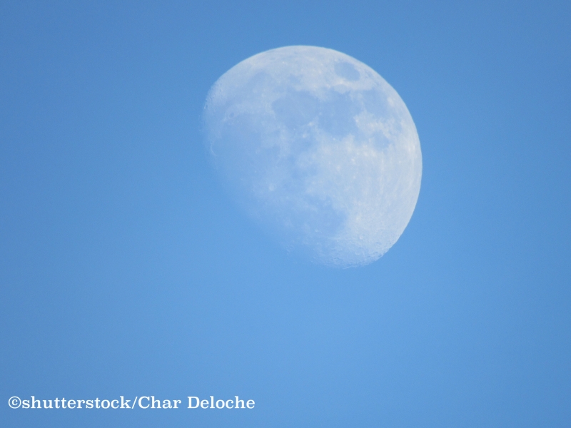 Mond am Tag