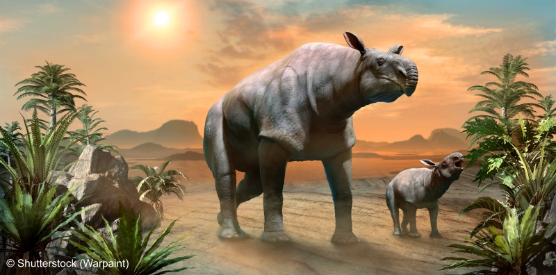 Paraceratherium 