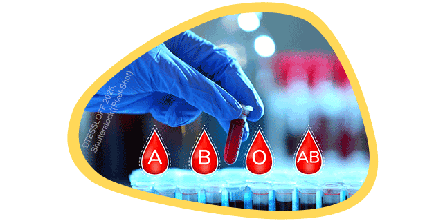 Bluttransfusion